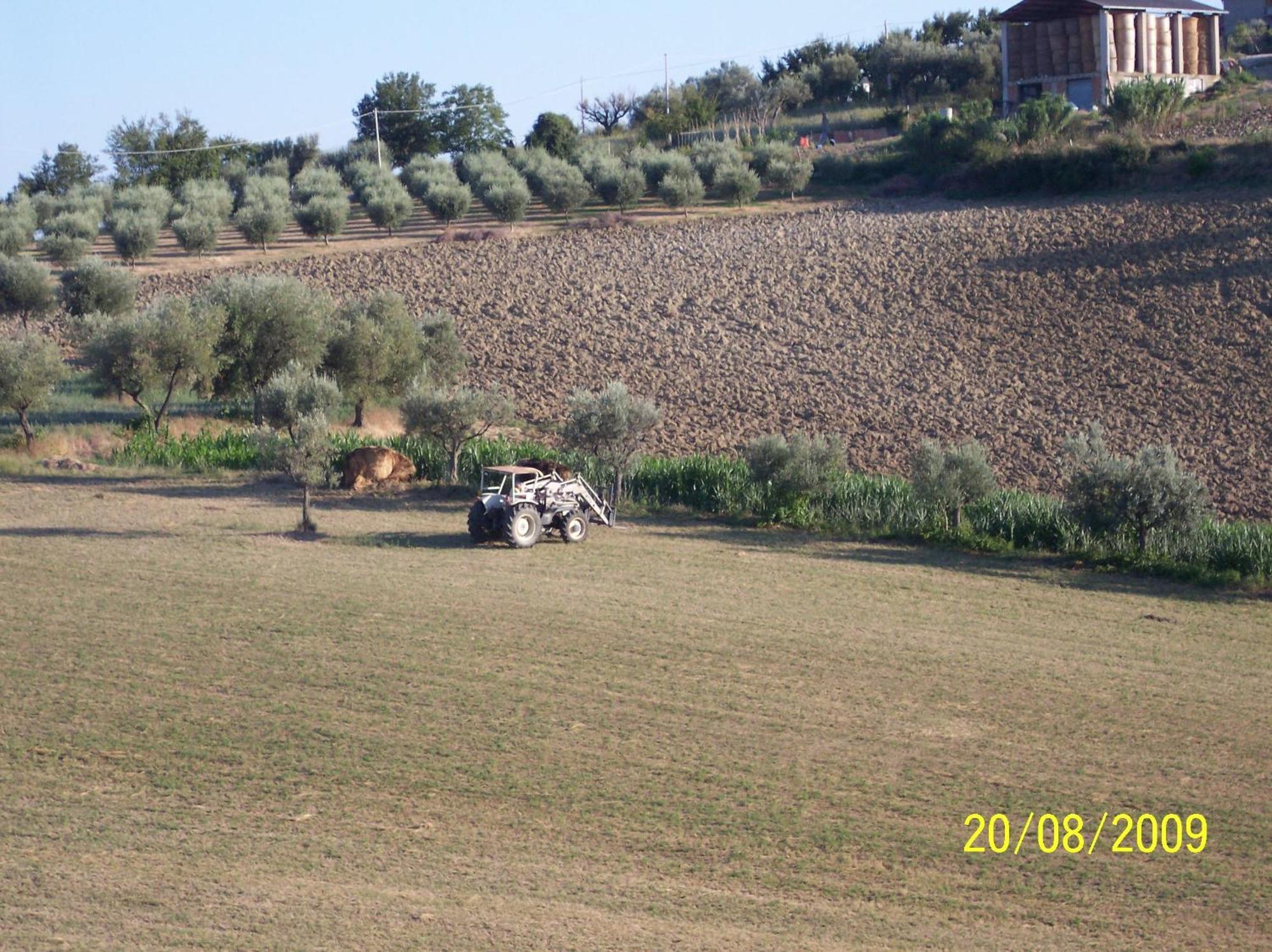 Agriturismo Il Vecchio Carro Campli Zewnętrze zdjęcie